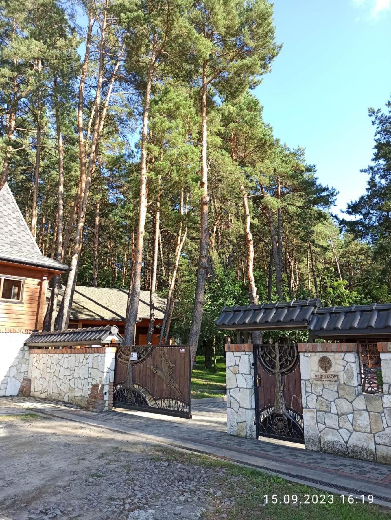 явір * Starychi